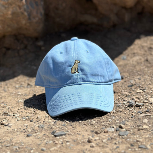 Gorra Fetch Dad Hat Dog