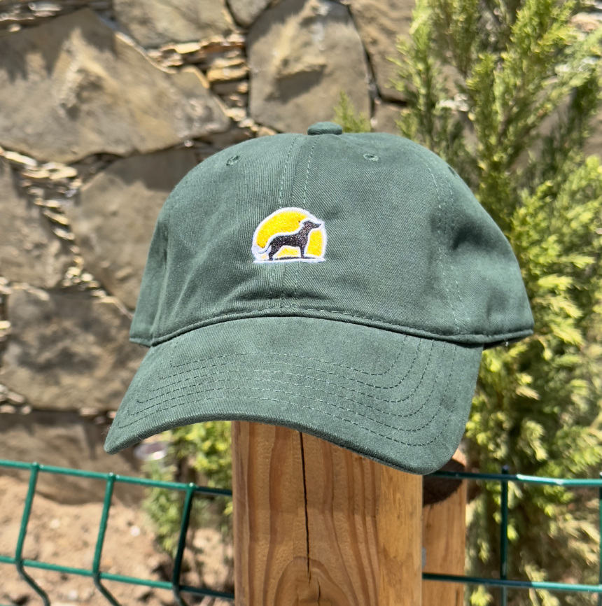 Gorra Fetch Dad Hat Sun